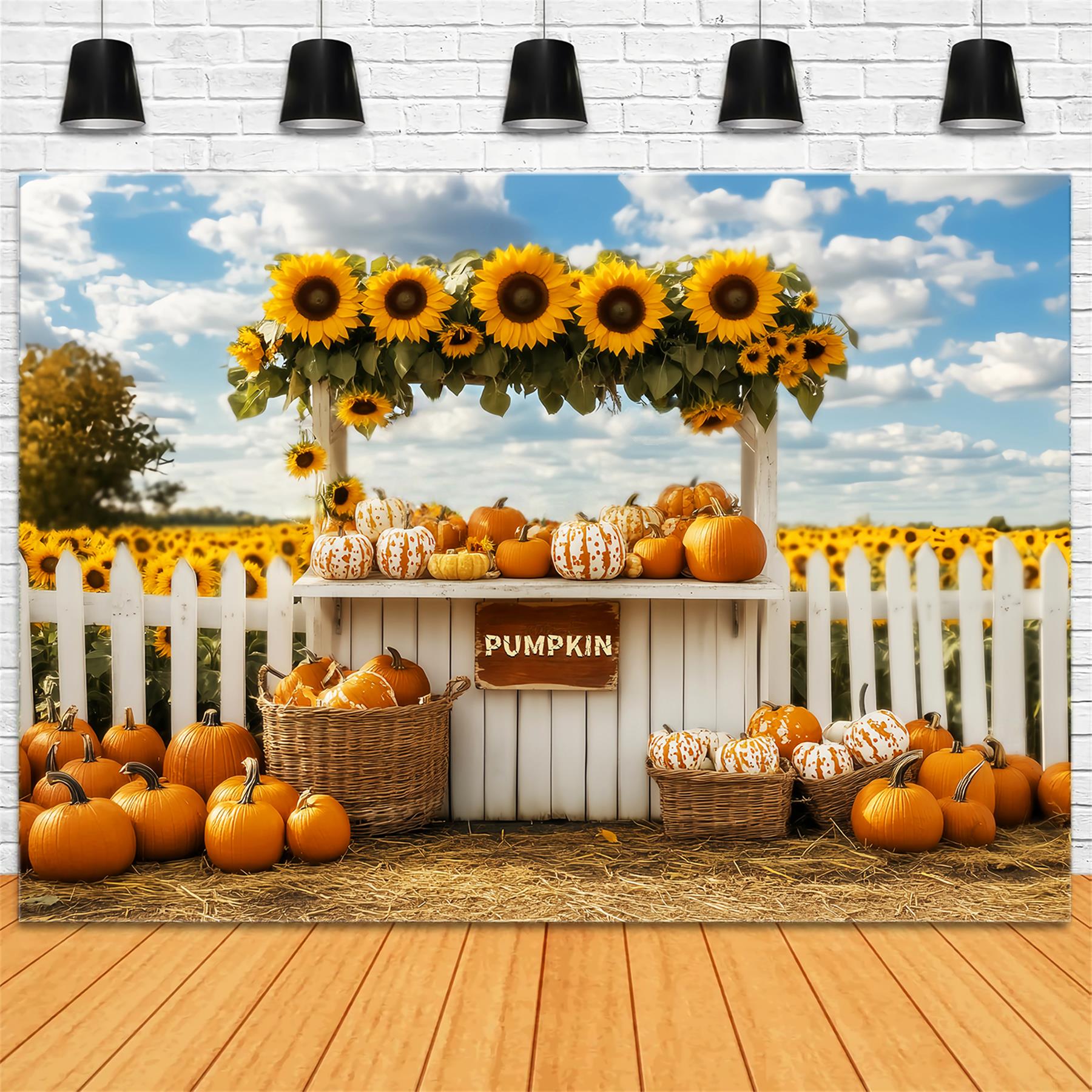 Toile de fond Photo Automne Marché Citrouilles Tournesols Stand LXX59-266