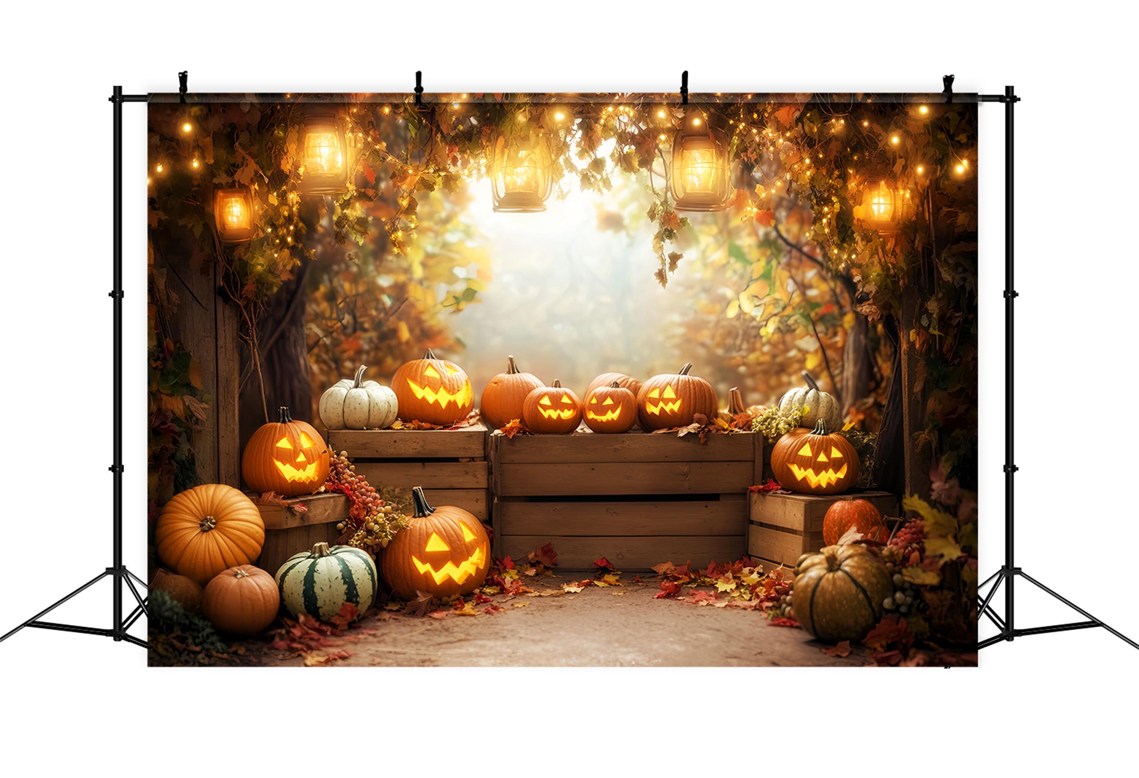 Toile de fond Photo Automne Marché Récolte Automnale Étale LXX59-268