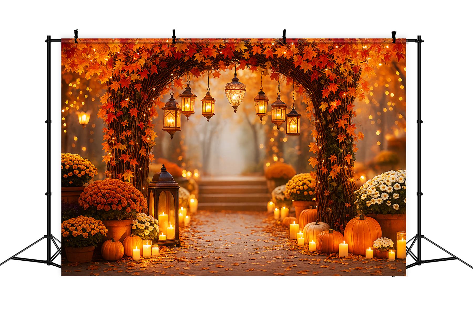 Toile de fond Automne Citrouilles Rustiques Sentier Lanternes LXX59-275