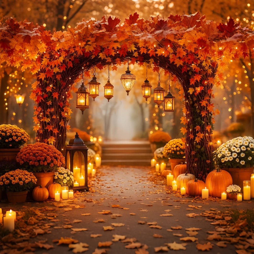 Toile de fond Automne Citrouilles Rustiques Sentier Lanternes LXX59-275