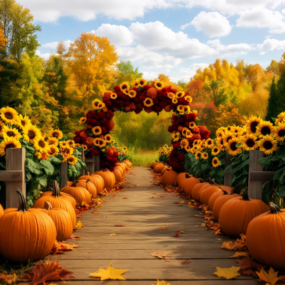 Toile de fond Automne Tournesols Sentier Citrouilles LXX59-284
