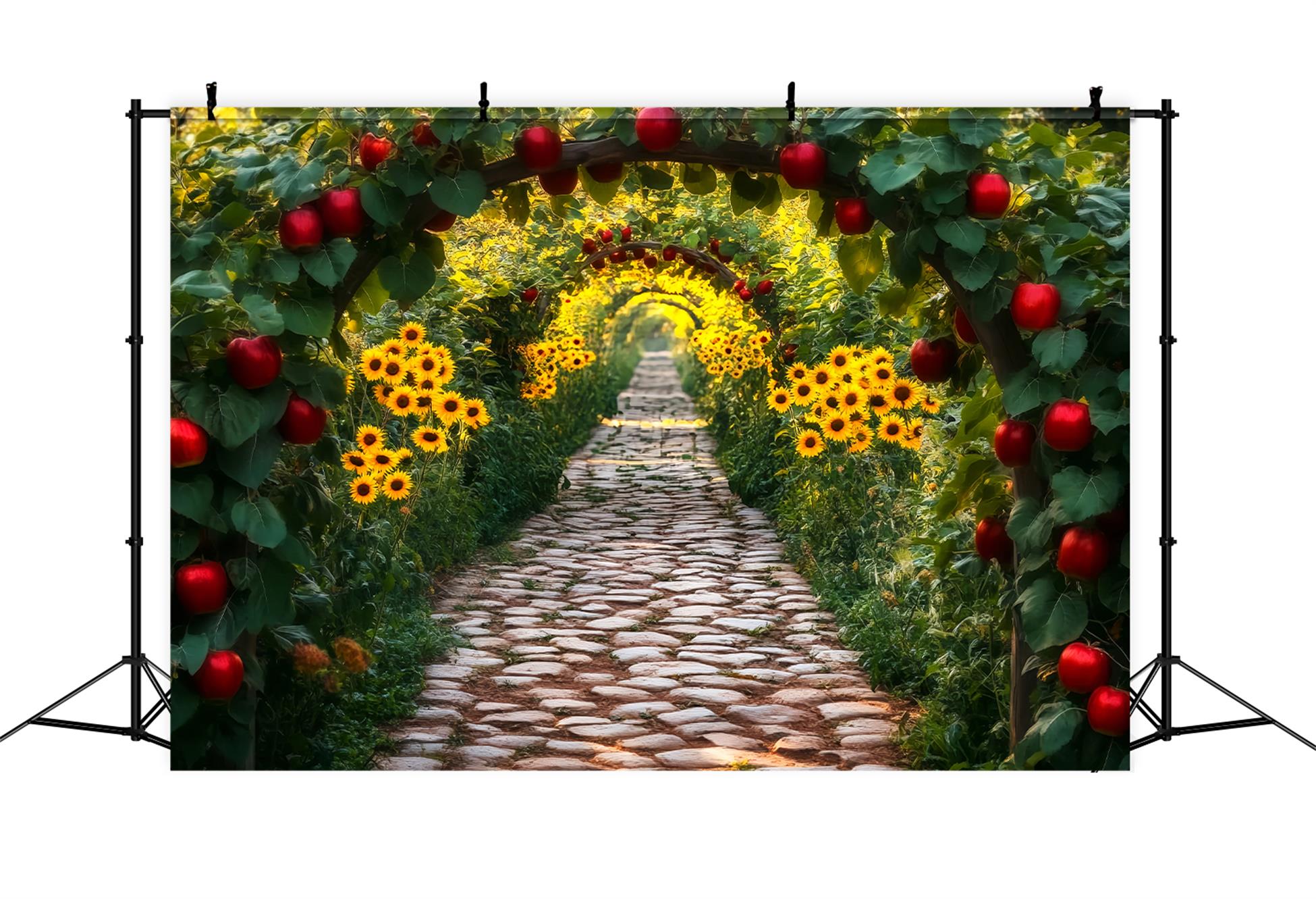 Toile de fond Photo Automne Verger Pommes Tunnel Tournesols LXX59-285