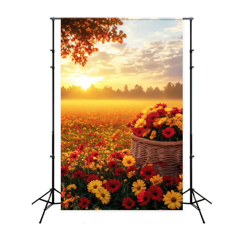 Toile de fond Photo Automne Extérieur Coucher Soleil Champ Fleurs Automne LXX59-292