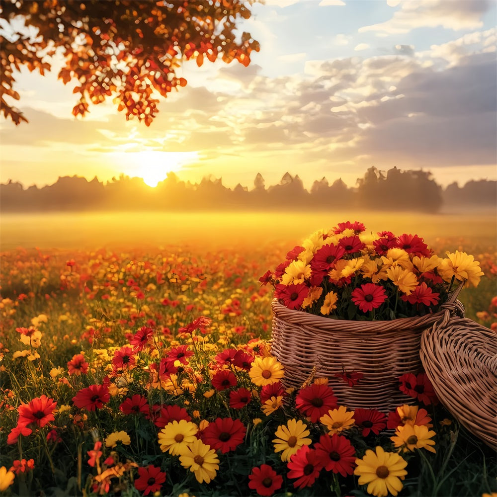 Toile de fond Photo Automne Extérieur Coucher Soleil Champ Fleurs Automne LXX59-292