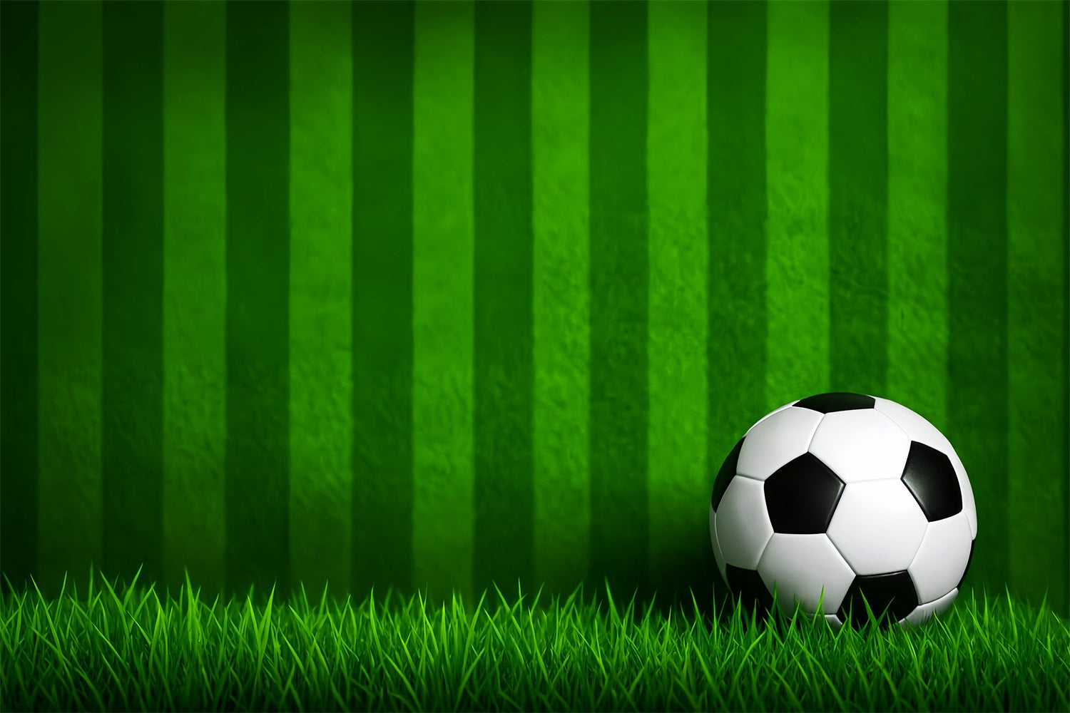 Toiles de fond pour le football Toile de fond sportive pour photographie avec ballon de football et gazon rayé LXX59-331