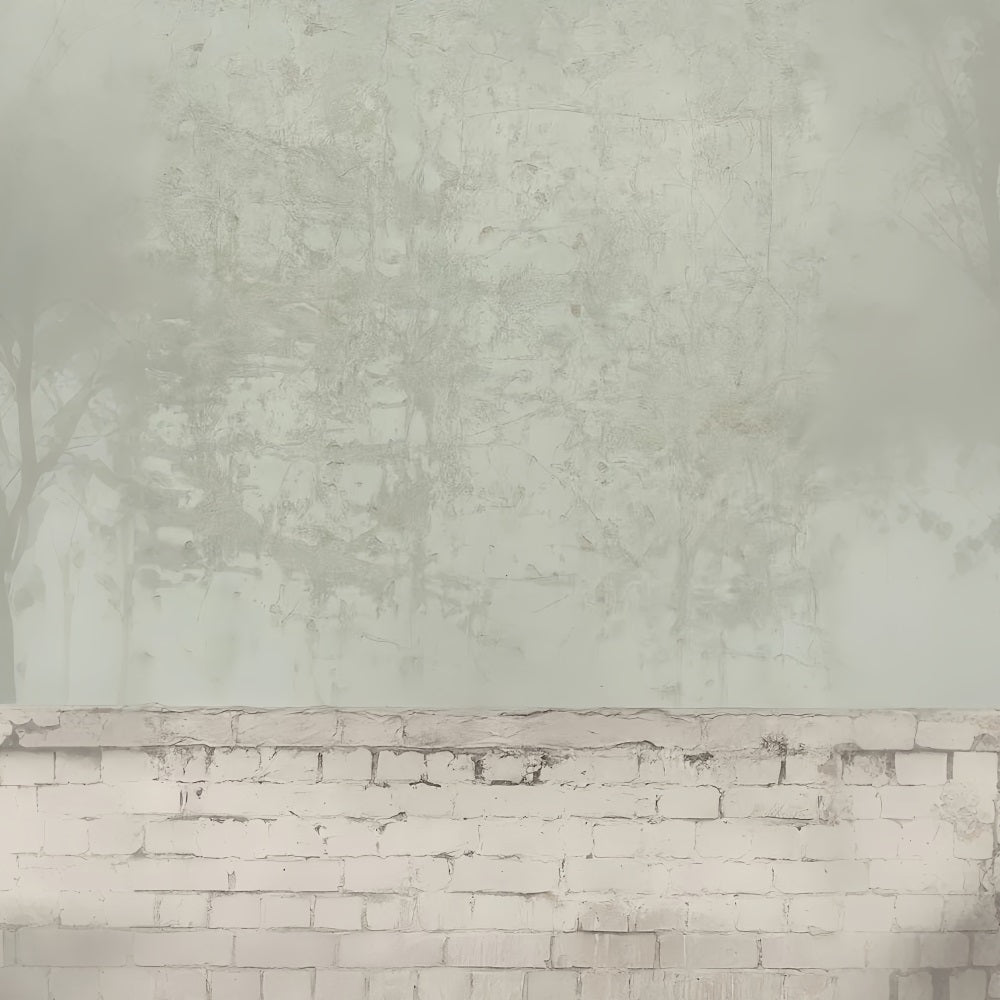 Fond photo en béton, texture brique blanche vieillie, fonds pour portraits LXX59-446