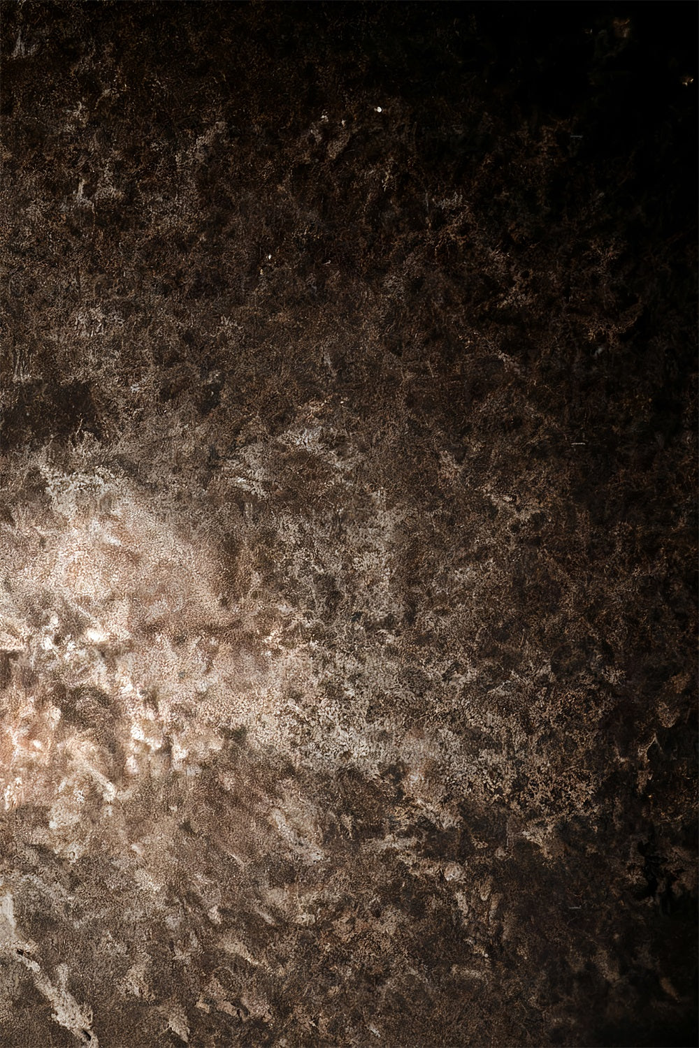 Fond de studio pour portraits Fond pour portraits à texture métallique rustique foncée LXX59-452