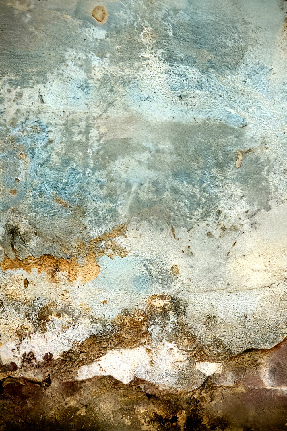 Fond en béton pour studio Fond pour portrait avec texture terre bleue patinée LXX59-456