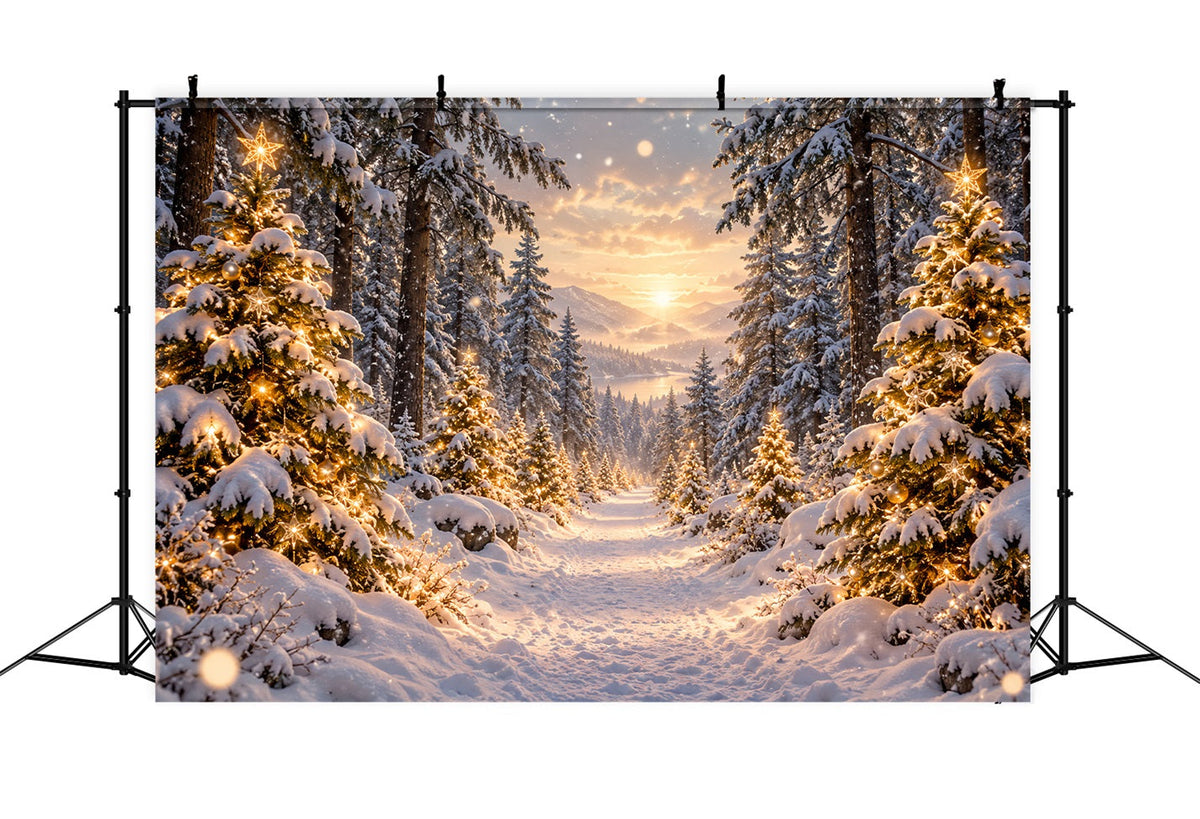 Fond De Forêt De Noël Coucher Soleil Doré Sapins Enneigés LXX610-167