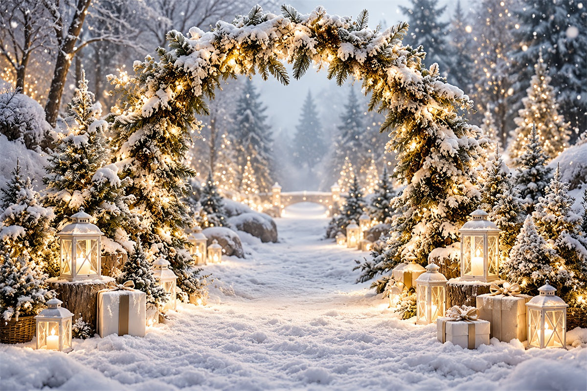 Fond Photo De Noël Paysage Hivernal Arche Lanternes Enneigées LXX610-169