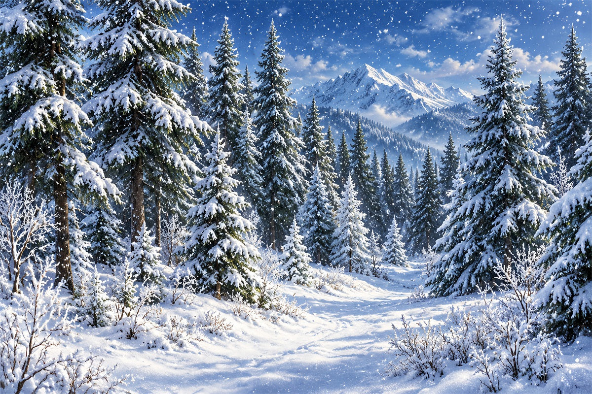 Fond Photo De Noël Sentier Arche Lanternes Enneigées LXX610-173