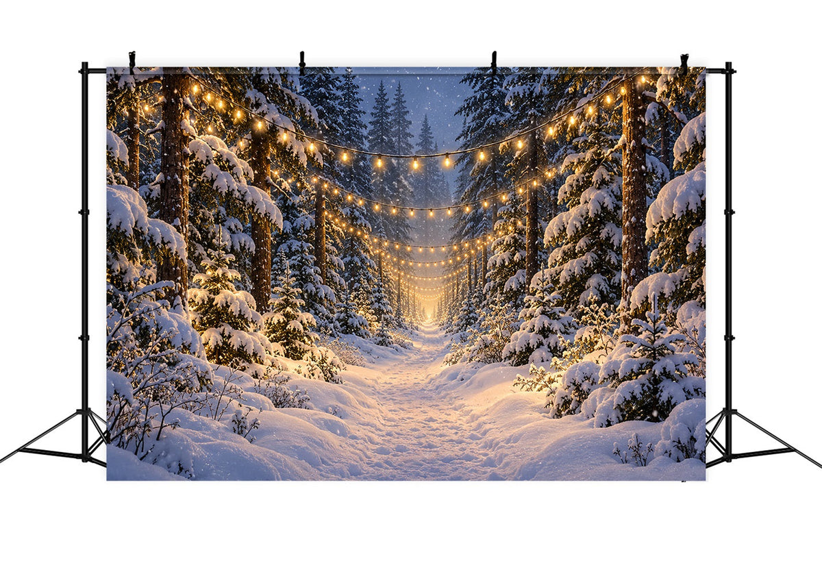 Fond De Forêt De Sapins De Noël Sentier Enneigé Lumineux LXX610-180