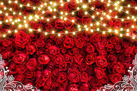 Roses Rouges Lumières Décoration Floral Toile de Fond M-59