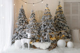 Arbre de Noël Décoration Elan Toile de fond Photographie M10-06
