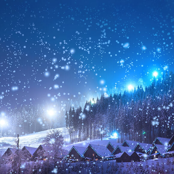 Hiver Village de neige Forêt Vue de nuit Toile de fond M10-14