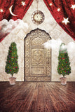 Noël Wonderland Porte Lune Étoiles Toile de fond M10-30