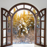 Fenêtre d'hiver Arbre enneigé Lumière du soleil Toile de fond M11-26