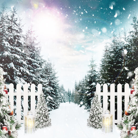 Toile De Fond Photo Noël 240x180 Cm - Scène Hiver Forêt Enneigée Et Sapins