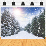 Forêt d'hiver Chute de neige Lumière du soleil Paysage Toile de fond M11-45