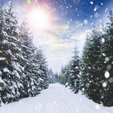 Forêt d'hiver Chute de neige Lumière du soleil Paysage Toile de fond M11-45