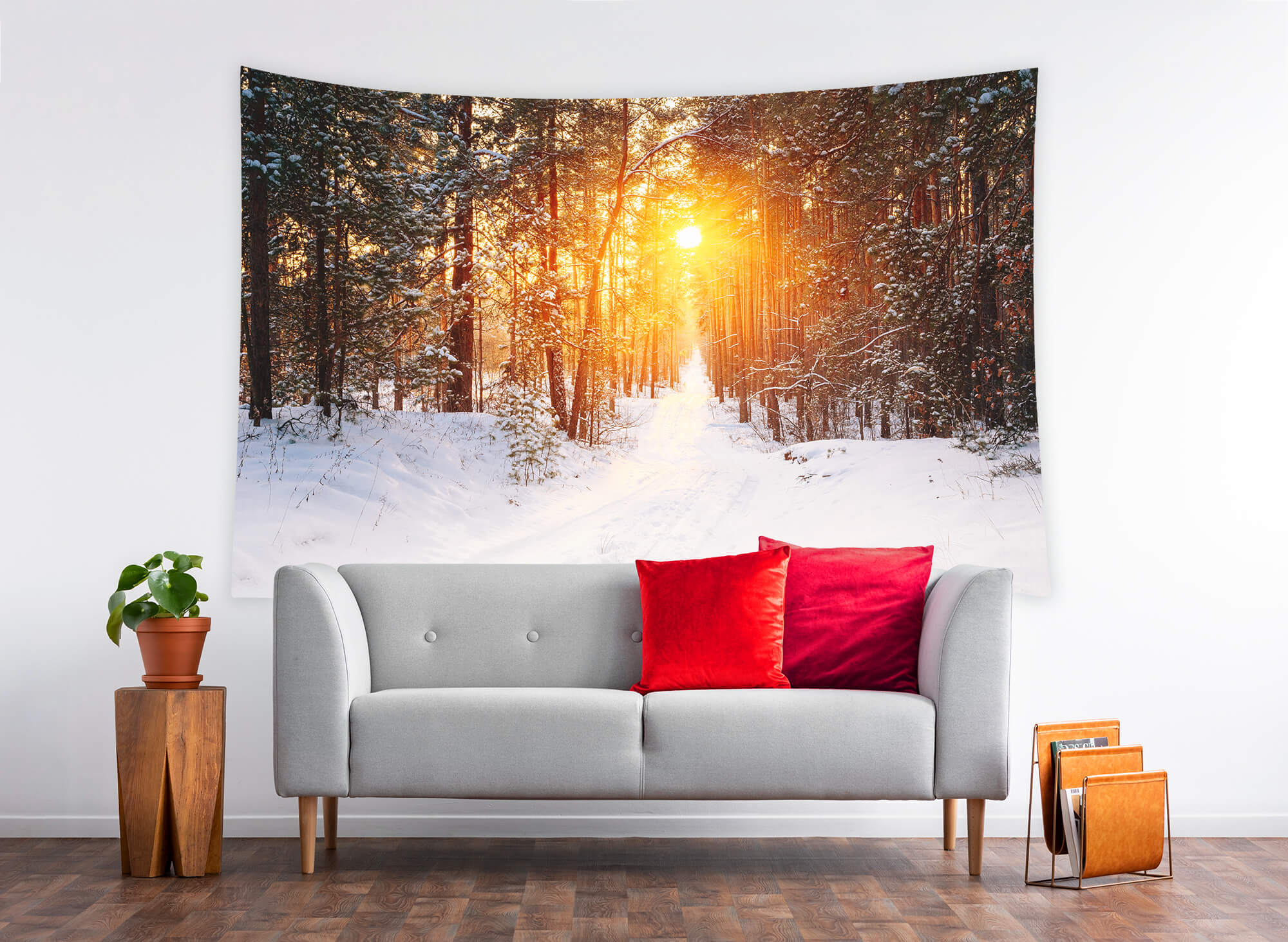 Paysage forestier Hivernage Lever de soleil Lueur Toile de fond M11-65