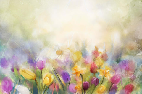 Peinture à l'huile Tulipes Colorées Brumeuses Rêve Toile de fond M12-38