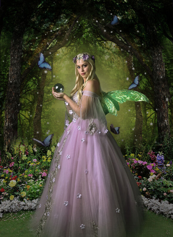 Fond de Lumière Magique de Papillons de Forêt Mythique M5-159