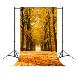 Paysage D'automne Allée Arbres Lumière du Soleil Toile de Fond M6-105