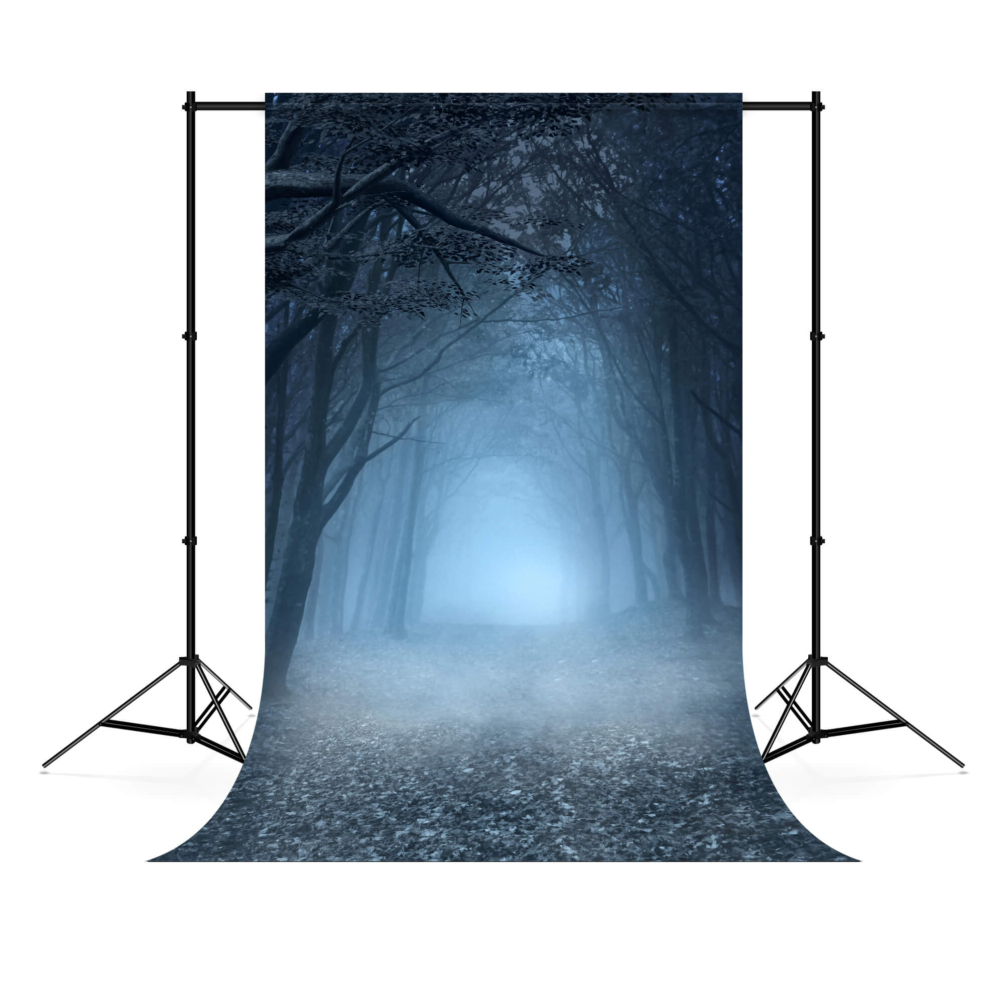 Toile de Fond de Photographie Halloween Forêt Brumeuse M6-127