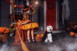 Toile de Fond de Décoration de Fête D'Halloween Citrouille M6-128