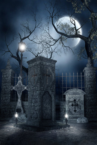 Halloween Lune Nuit Horreur Tombe Toile de Fond M6-136