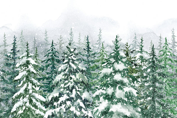 Toile de fond Sol Forêt de pins gelée enneigée BRP9-16