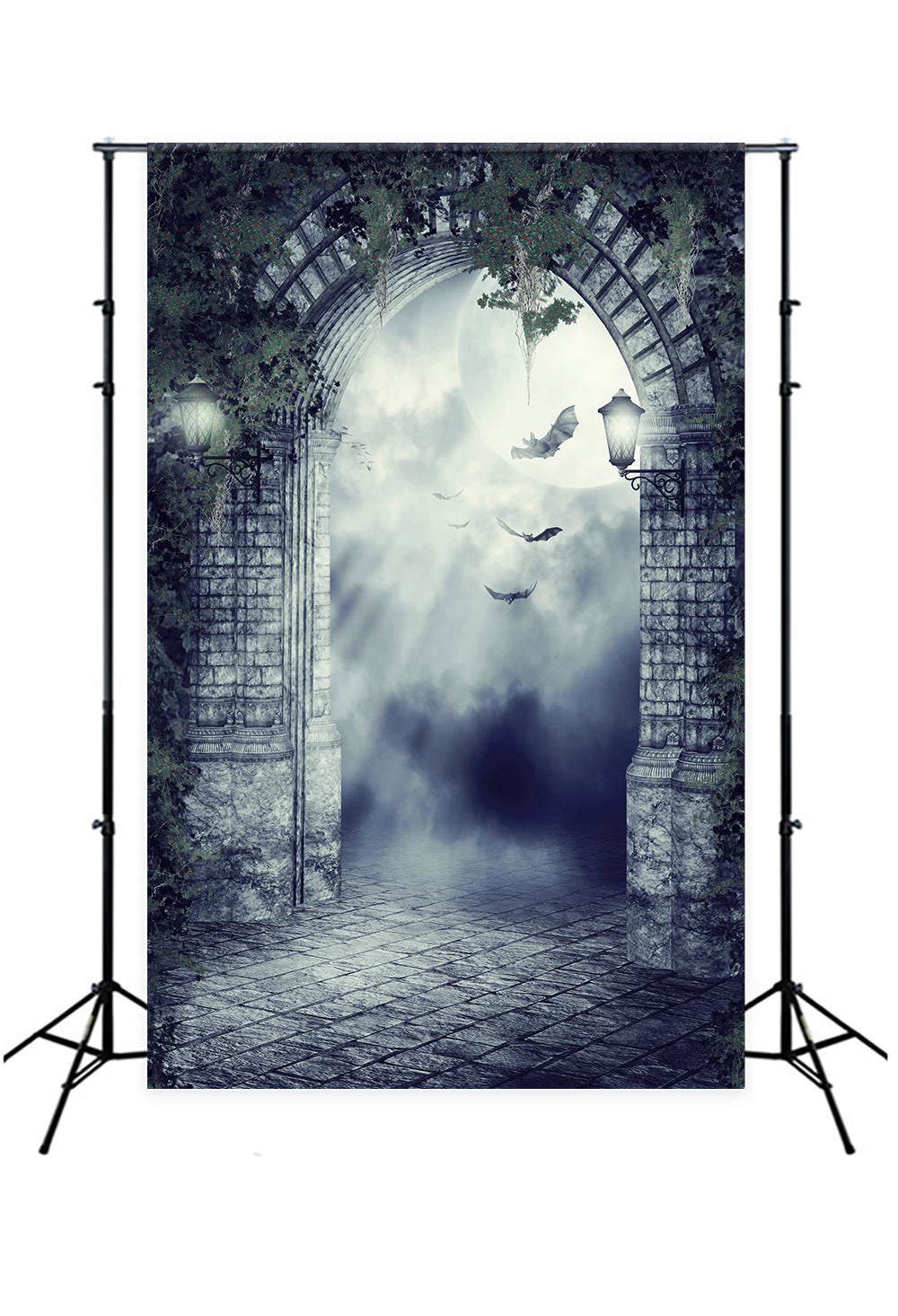 Toile de Fond Gothique Porte Chauve-souris Clair de Lune Nuit Halloween M8-02