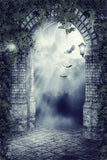 Toile de Fond Gothique Porte Chauve-souris Clair de Lune Nuit Halloween M8-02