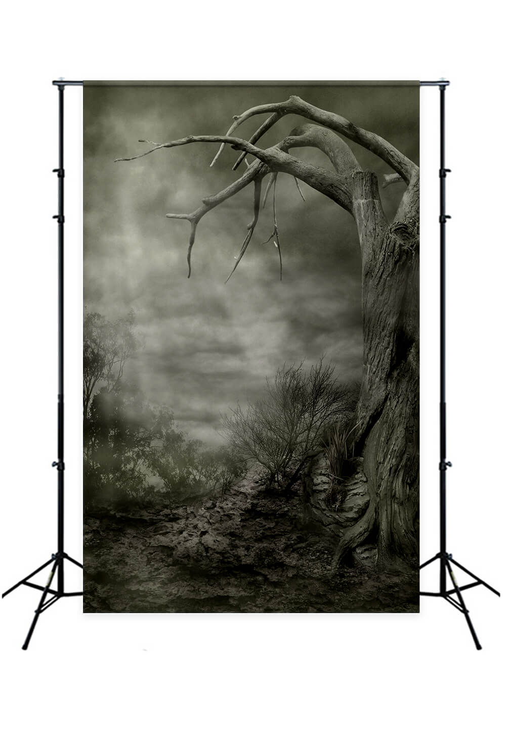 Toile de Fond Scène Effrayante Arbres Morts Halloween M8-03