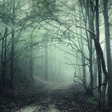 Toile de Fond Forêt Mystérieuse Chemin Brumeux Halloween M8-09