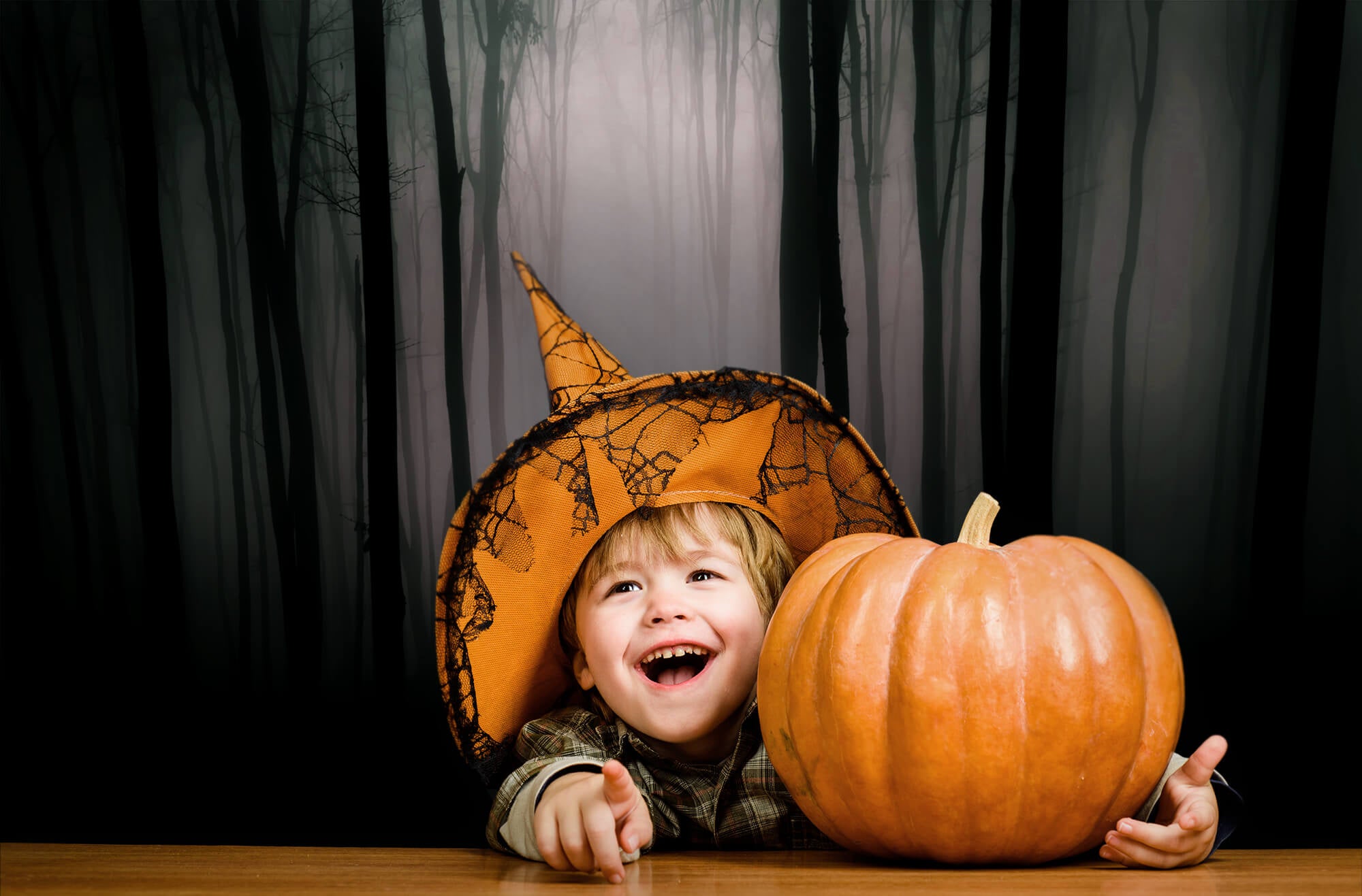 Toile de Fond de Forêt Sombre Lugubre pour Halloween M8-10