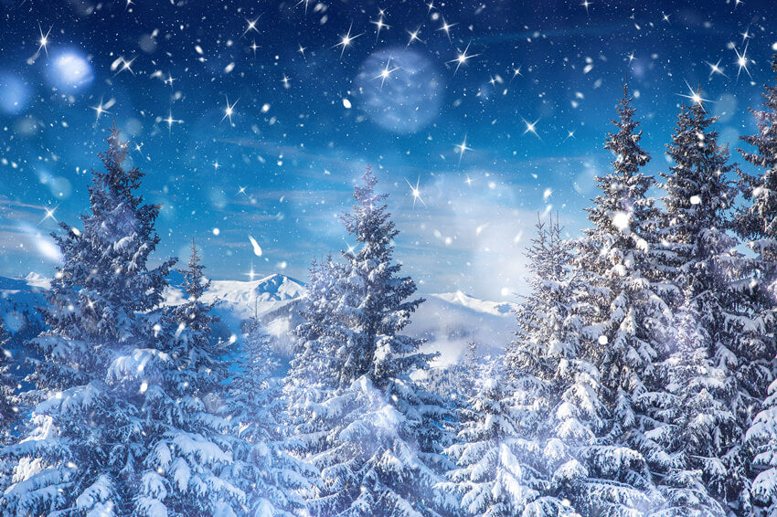 Toile de Fond Ciel Etoilé en hiver Nuit Enneigée M8-17