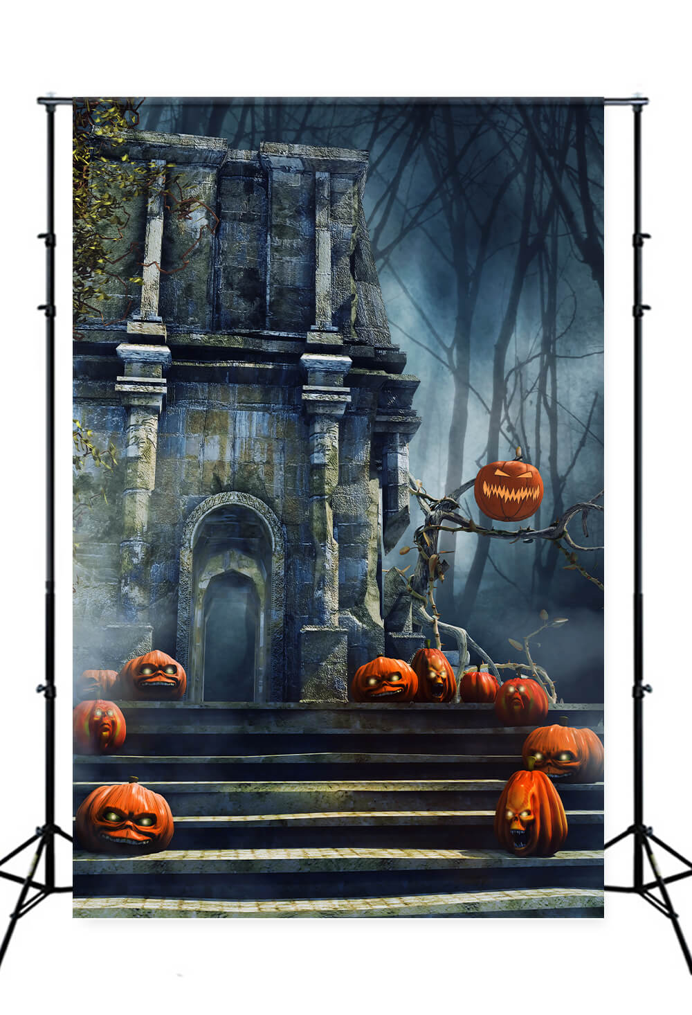 Toile de Fond de Château Hanté de la Nuit d'Horreur d'Halloween M8-58