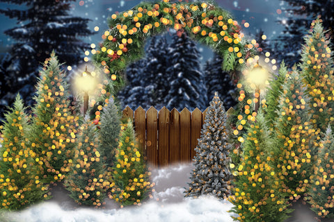Toile de Fond Arche de Noël Etincelante pour Photographie M8-75