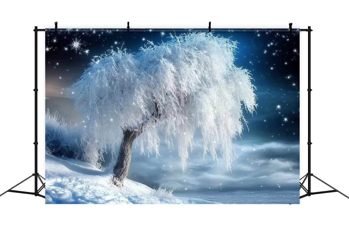 Toile de fond Photo Forêt Hiver Bosquet Sérénité Neige MRR7-106