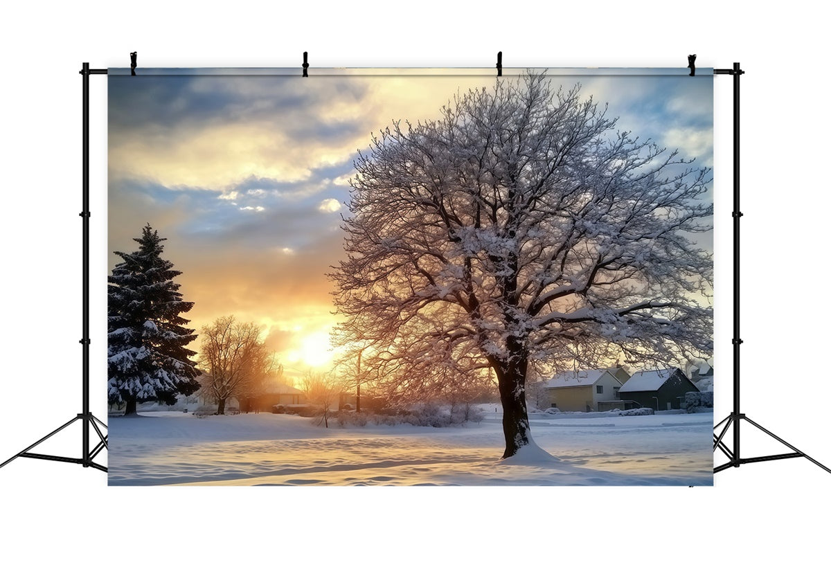 Toile de fond Forêt Coucher Soleil Sérénité Hiver MRR7-107