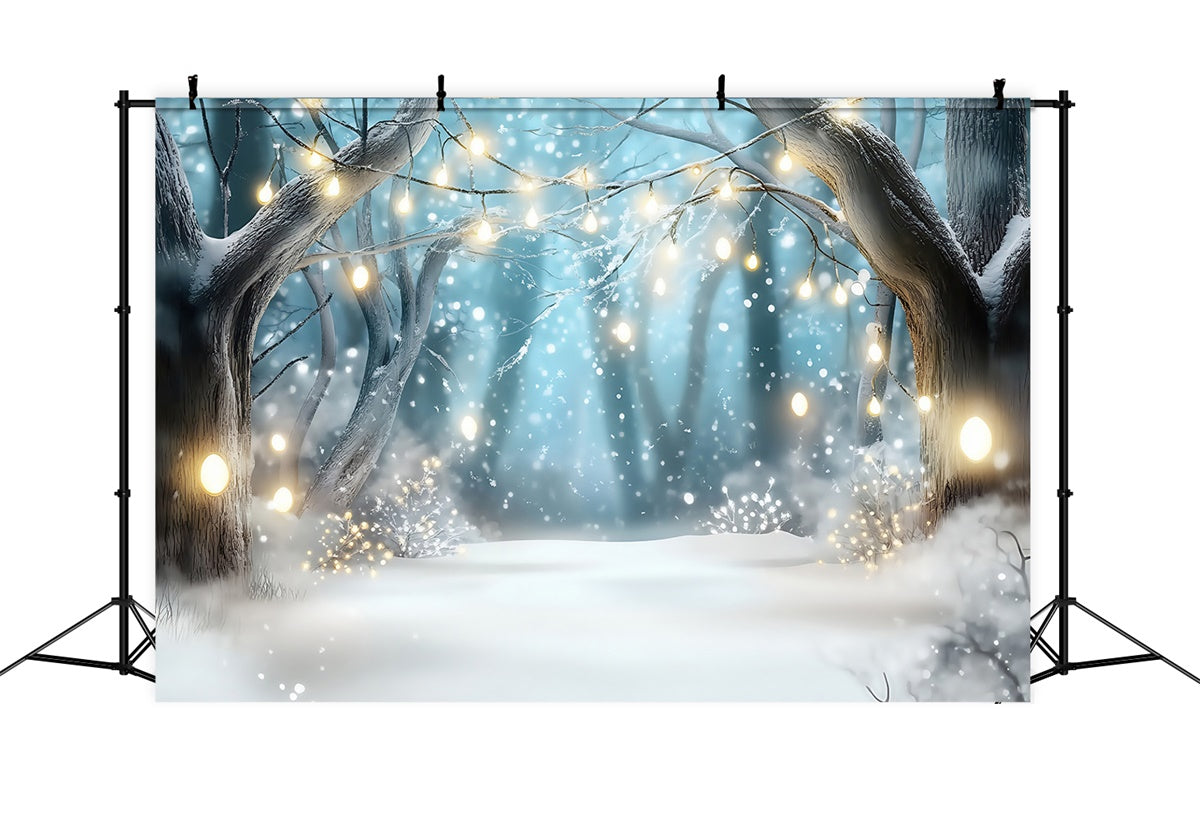 Toile de fond Photo Forêt Hiver Lueur Enneigée Enchantée MRR7-108