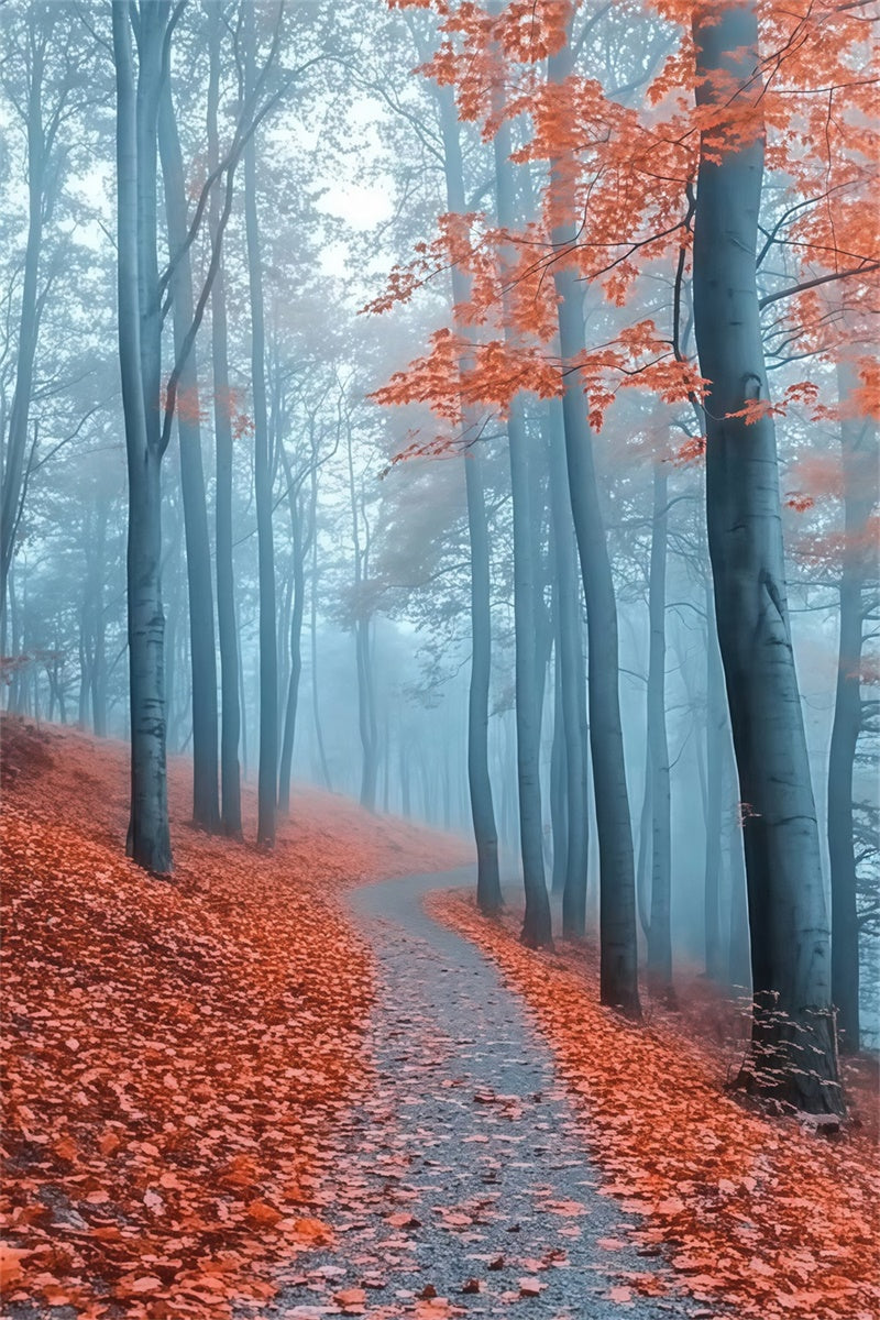 Toile de fond Photo Forêt Automne Sentier Brume Rouge MRR7-112