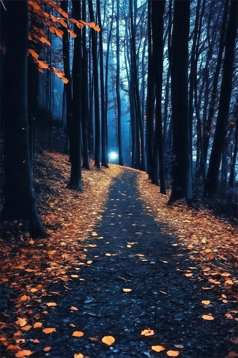 Toile de fond Forêt Nuit Feuilles Dorées Crépuscule MRR7-113