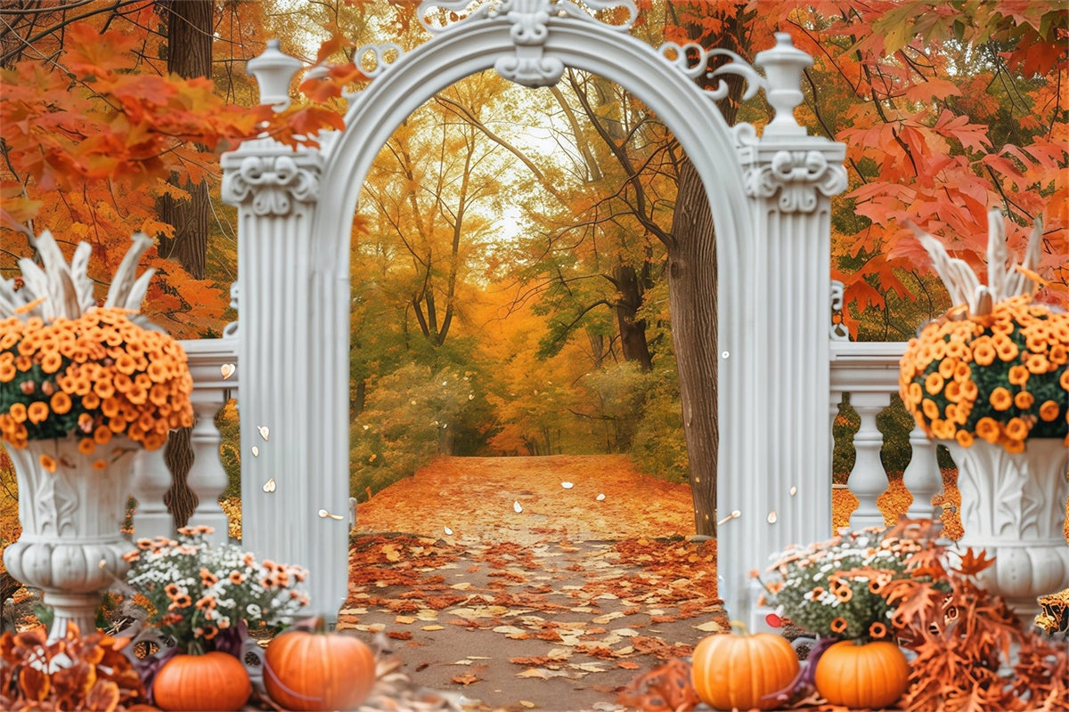 Toile de fond Déco Automne Arche Feuilles Sentier Forêt MRR7-140
