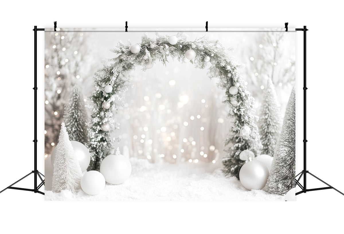 Toile de fond Neige Hiver Arche Éclatante MRR7-146
