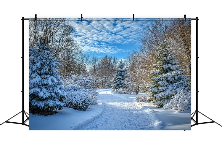 Toile de fond Hiver Ciel Dégagé Sentier Neigeux MRR7-151