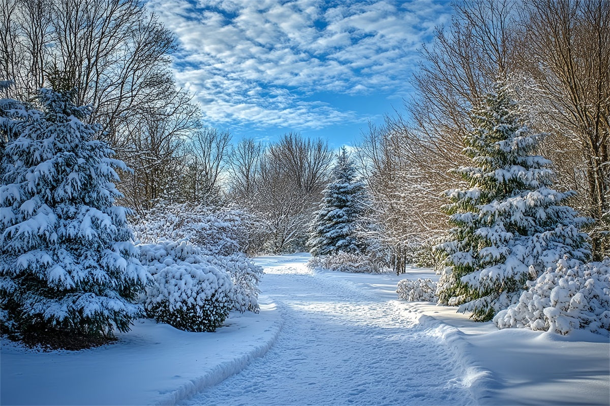 Toile de fond Hiver Ciel Dégagé Sentier Neigeux MRR7-151