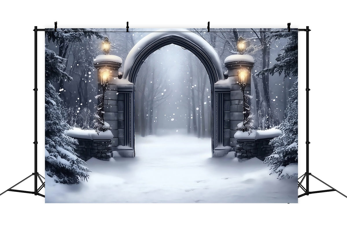 Toile de fond Neige Hiver Portail Gothique MRR7-152
